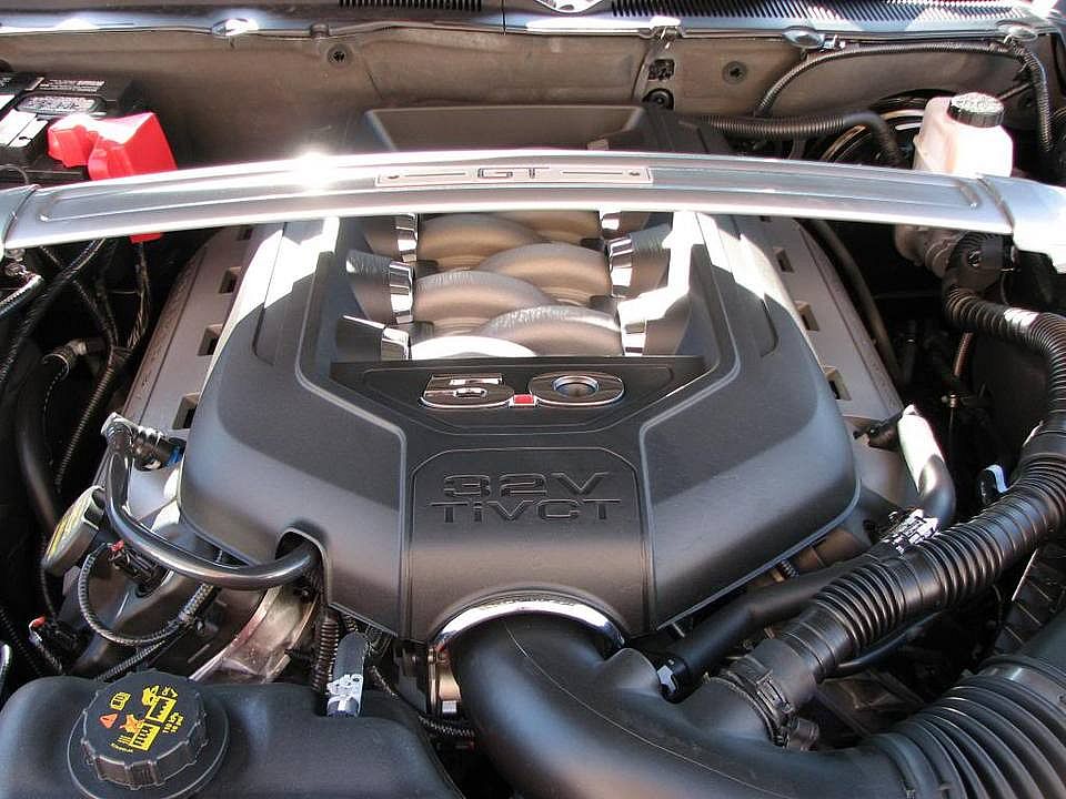 Mustang006.jpg