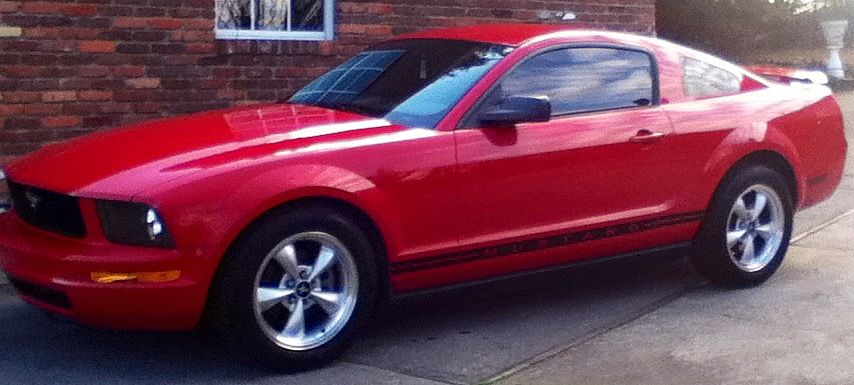 Mustang1.JPG