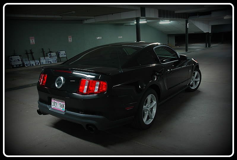 Mustang_3-1.jpg