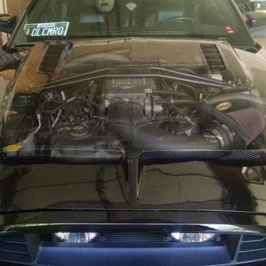 2010 Mustang GT - Under the Hood