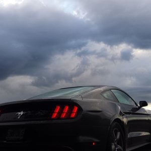 My 2015 Mustang fastback