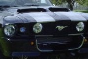 Pit Viper Mustang