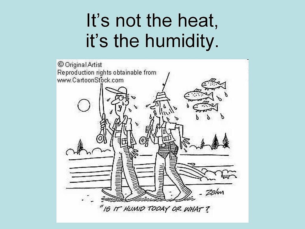 %80%99s+not+the+heat%2C+it%E2%80%99s+the+humidity..jpg