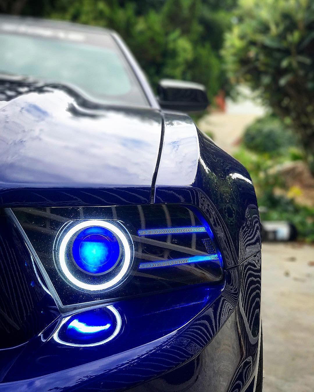 Ford%20Mustang%20DRL%20LED%20Boards%20white%20HD%20Halos%20owner%20ig%20@_markyoung_.jpg