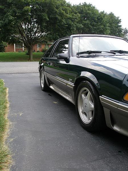 Mustang005.jpg