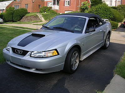 Mustang0125.jpg