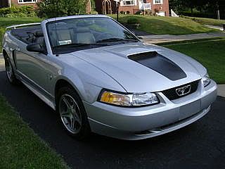 Mustang0127.jpg