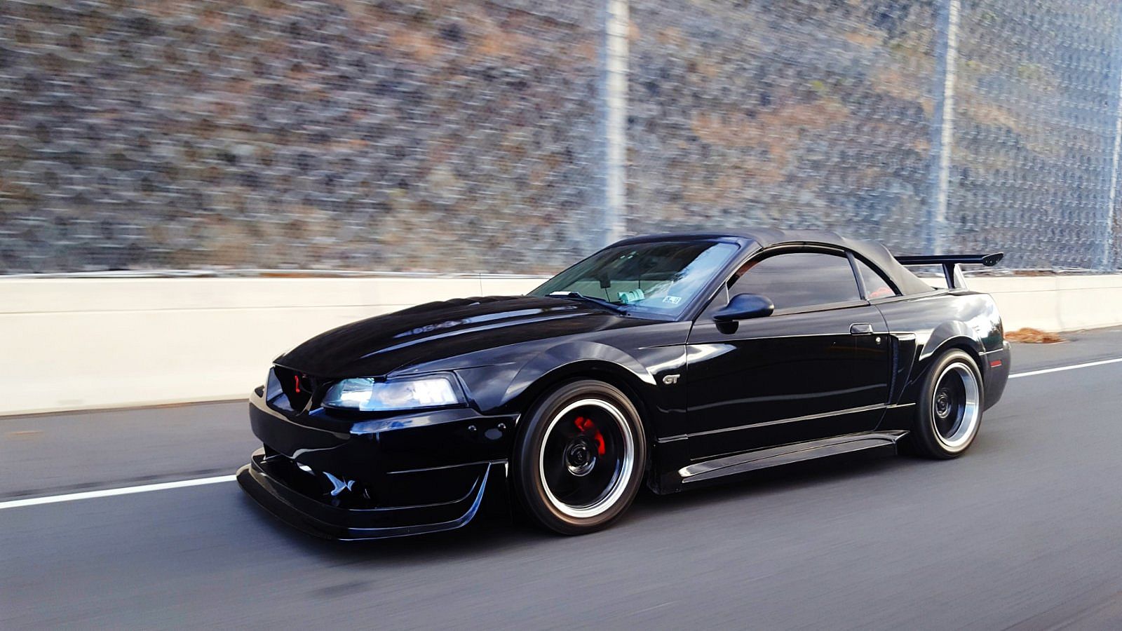 Mustang2-01.jpeg