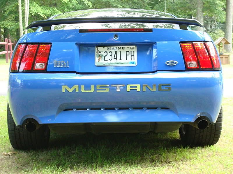 Mustangconn.013.jpg