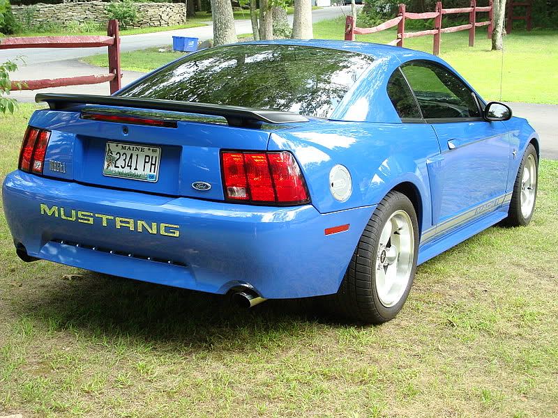 Mustangconn.014.jpg