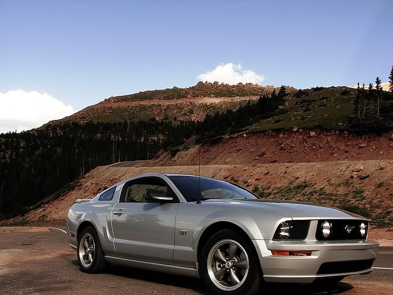 Mustanghalf.jpg