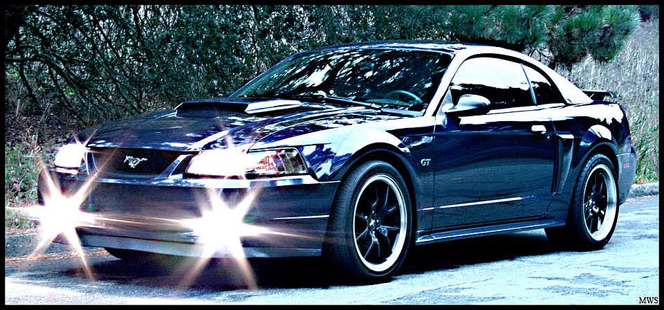 Mustanglightscopy.jpg