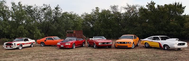 Mustangs8best.jpg