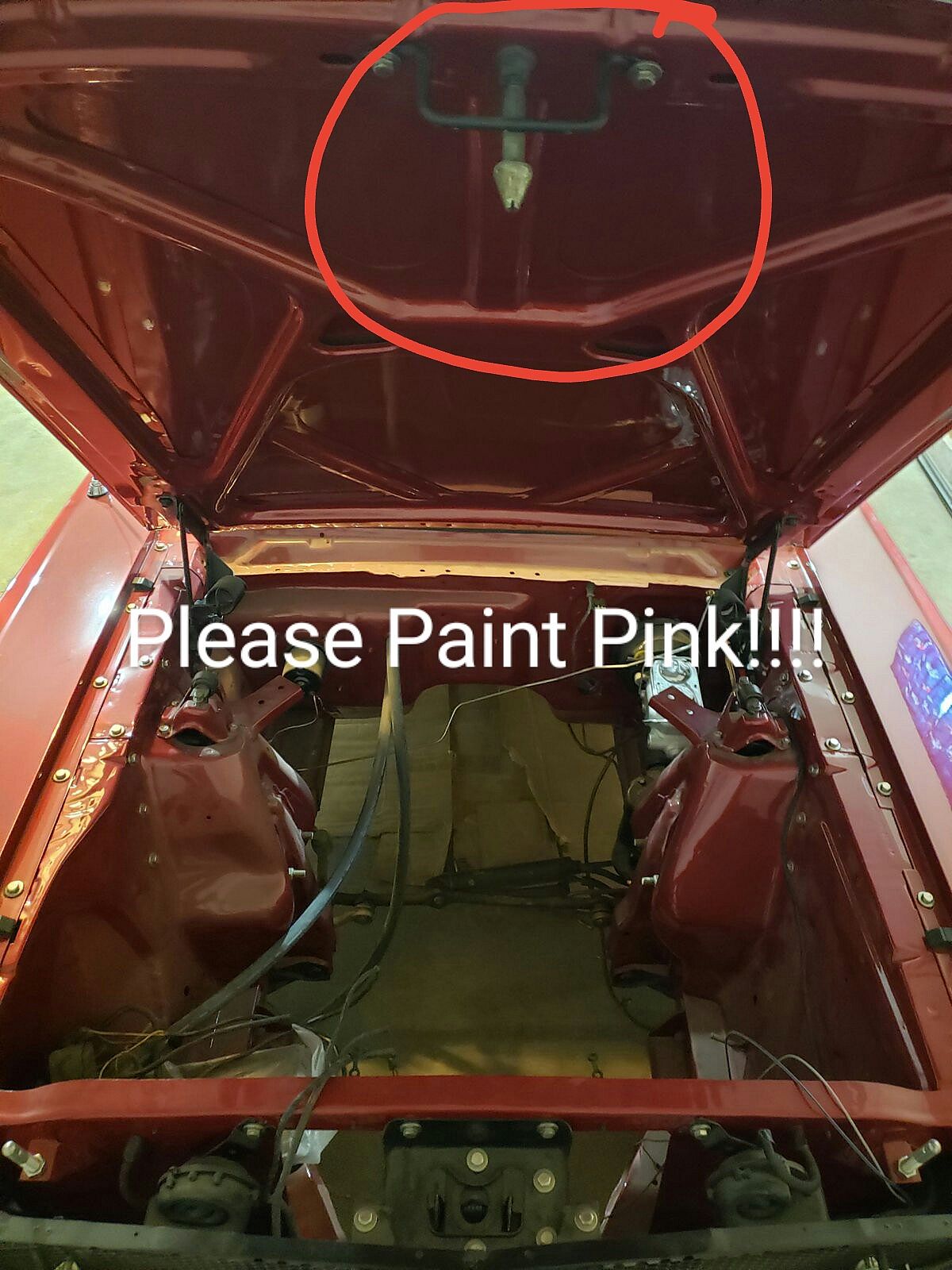 Please Paint Pink.jpg