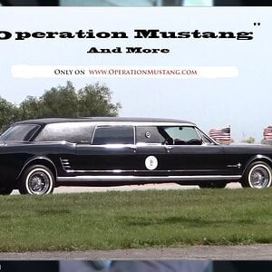 Operation Mustang's & More episode 24