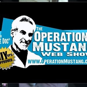 Operation Mustang's Show 25 coming attraction's