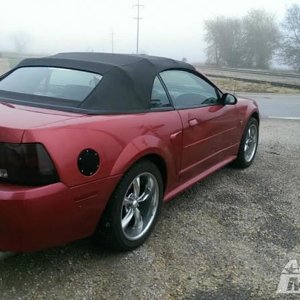 01 Mustang Convertible project