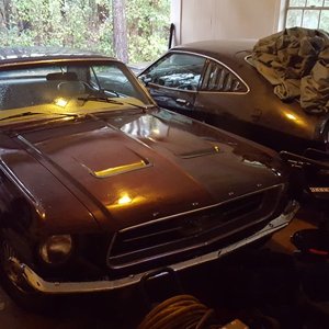 2 Mustangs in the carport