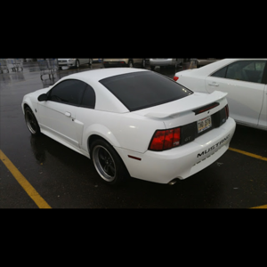 99 stang 35th