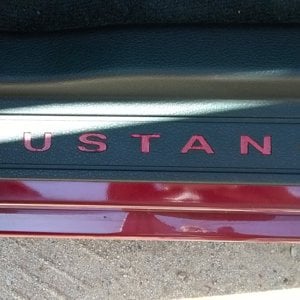 Mustang Red Paint