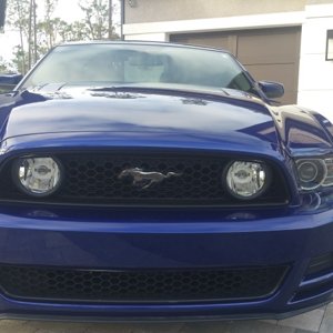 2014 Mustang GT Premium for sale
