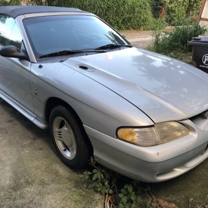 1994 Mustang V6