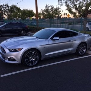 Silver Stang