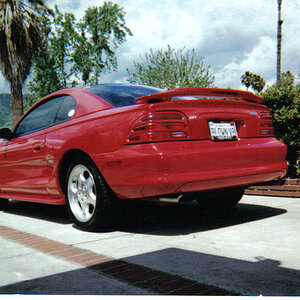 2001 Tims 6th Mustang 8 1st Cobra (#1979)