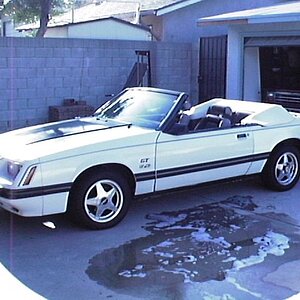 Tim's 5th Mustang - 1984 GT after bath circa1997.JPG
