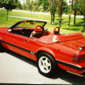 1986 GT - For Sale picture