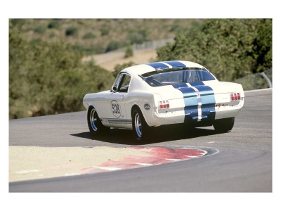 0001-5900-5~1965-Shelby-GT350R-Poster.webp