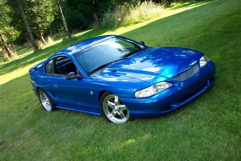 000_0008Medium.webp