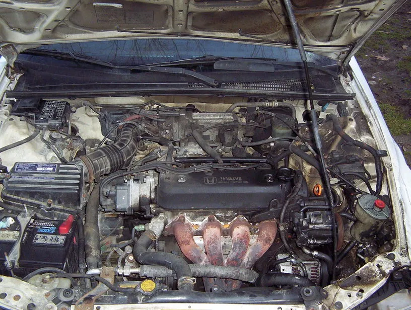 000_0088.webp