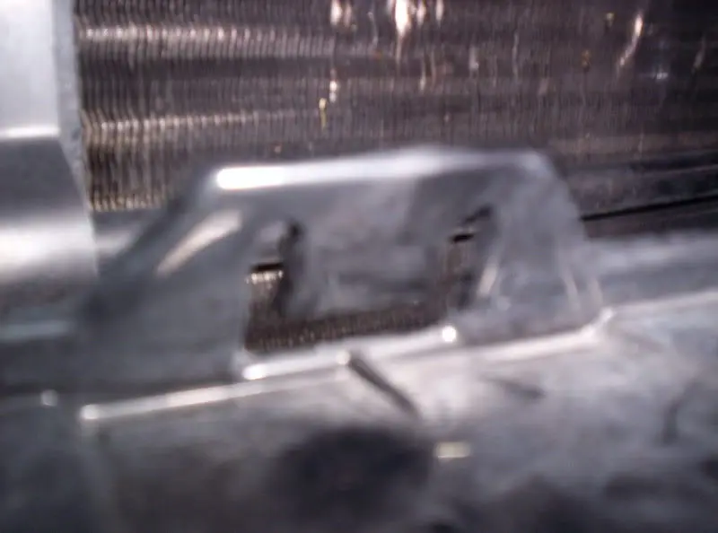 000_0175.webp