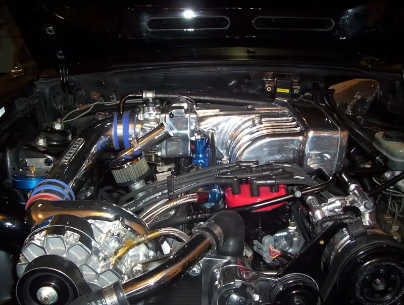 000_0221.webp