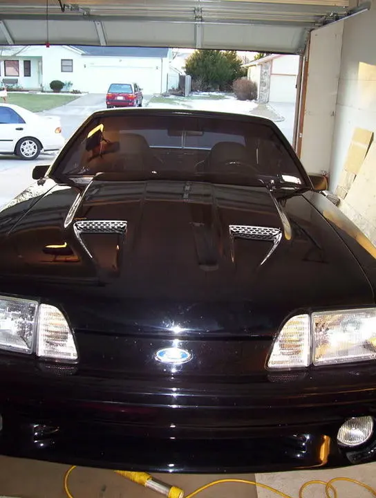 000_0232.webp