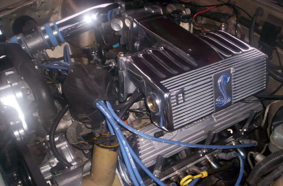 000_0509.webp