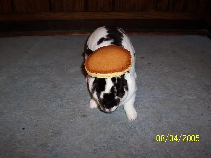 000_0870.webp