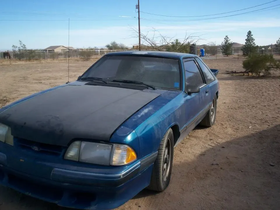 000_0885.webp