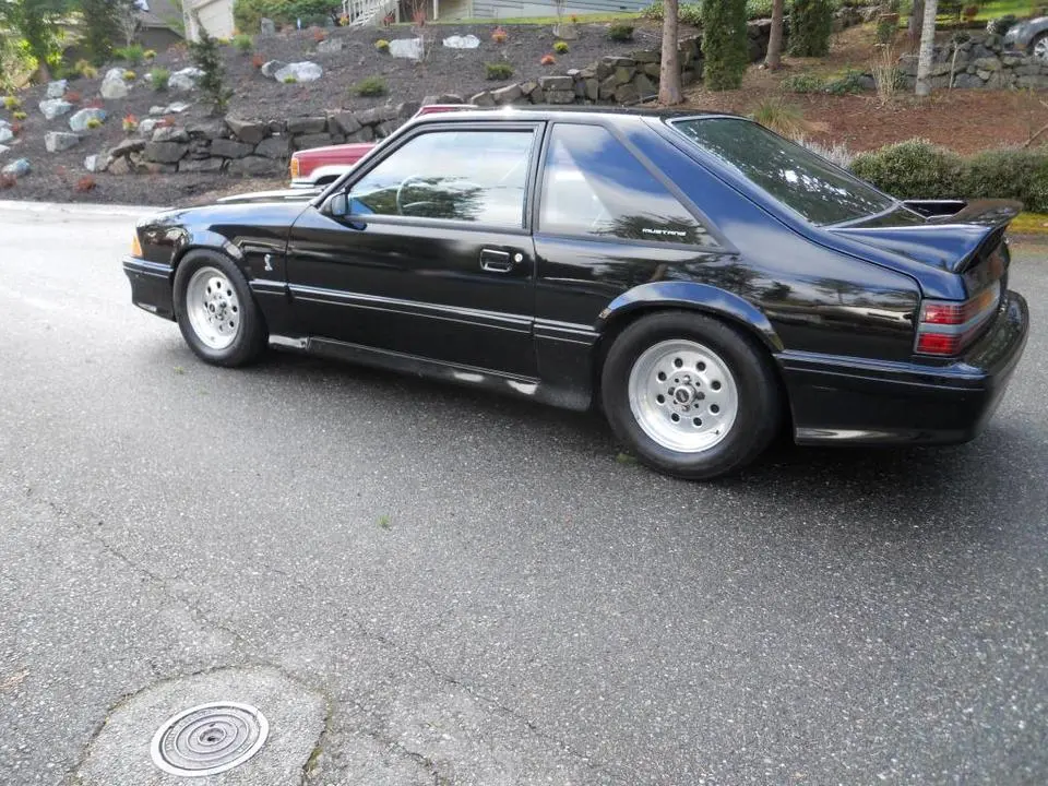 003_zps95c5196b.webp