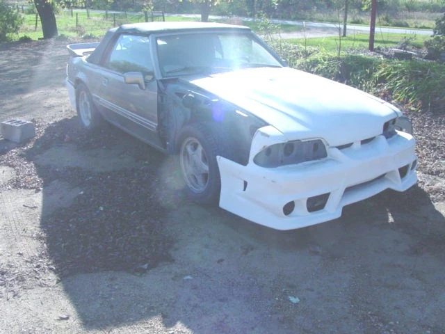 004.webp