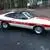 00404_4ElBELuZixi_50x50c.webp