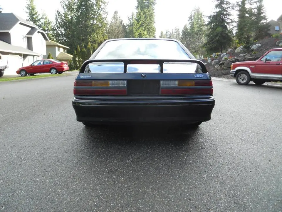 005_zpsca3fec93.webp