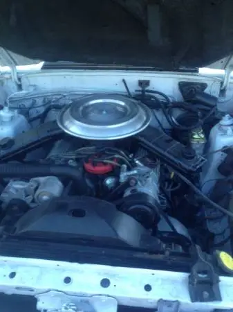00O0O_3WISwuNe8RM_600x450.webp