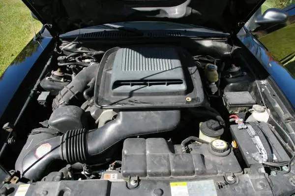 00V0V_i8ooeOVErbi_600x450.webp