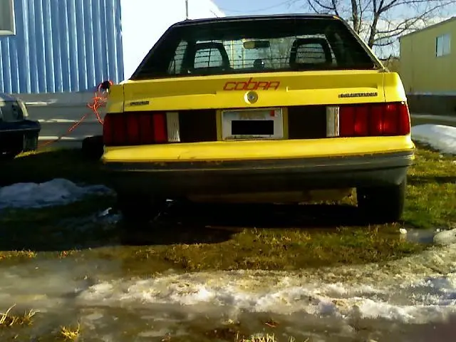 01-03-10_1312.webp