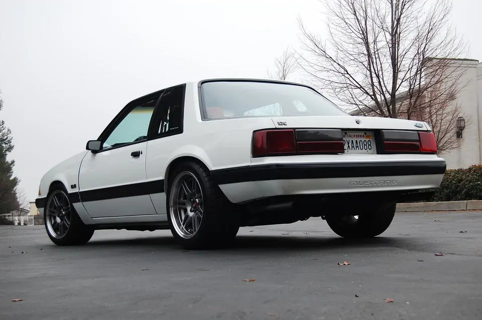 017.webp