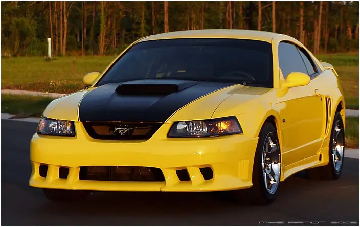 01GTnew_02.webp