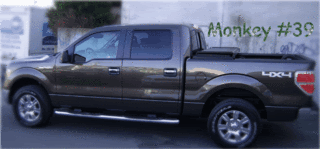 021-2-1-1.gif