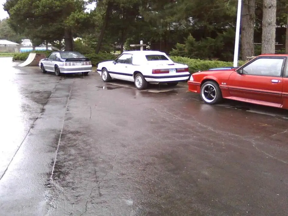 0223101131.webp